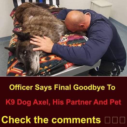 OFFICER SAYS FINAL GOODBYE TO K9 DOG AXEL, HIS PARTNER AND PET Viral